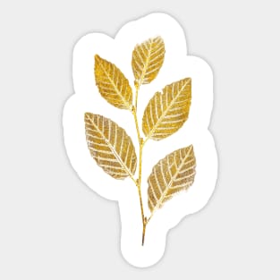 autumn leaf - beech tree Sticker